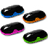 CANYON Bright Colored Mice